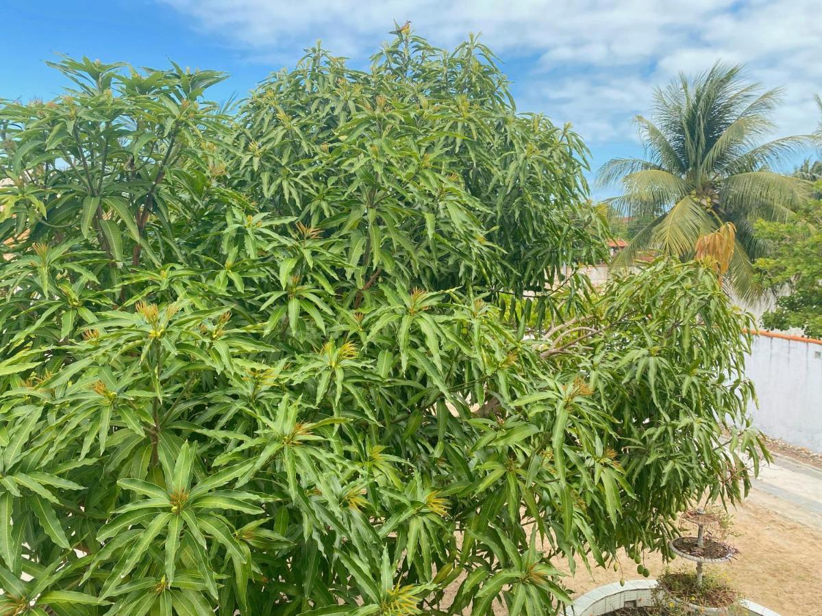Willa Sol, Mar E Privacidade Aracaju Zewnętrze zdjęcie